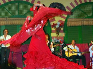 Flamenco, Espagne
