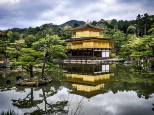 Jardin Japonais