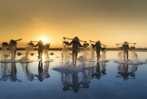 Récolte de sel, Vietnam