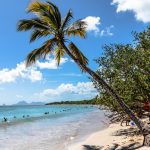 Martinique-sq