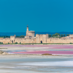 GAL CAMARGUE GRAU DU ROI 3